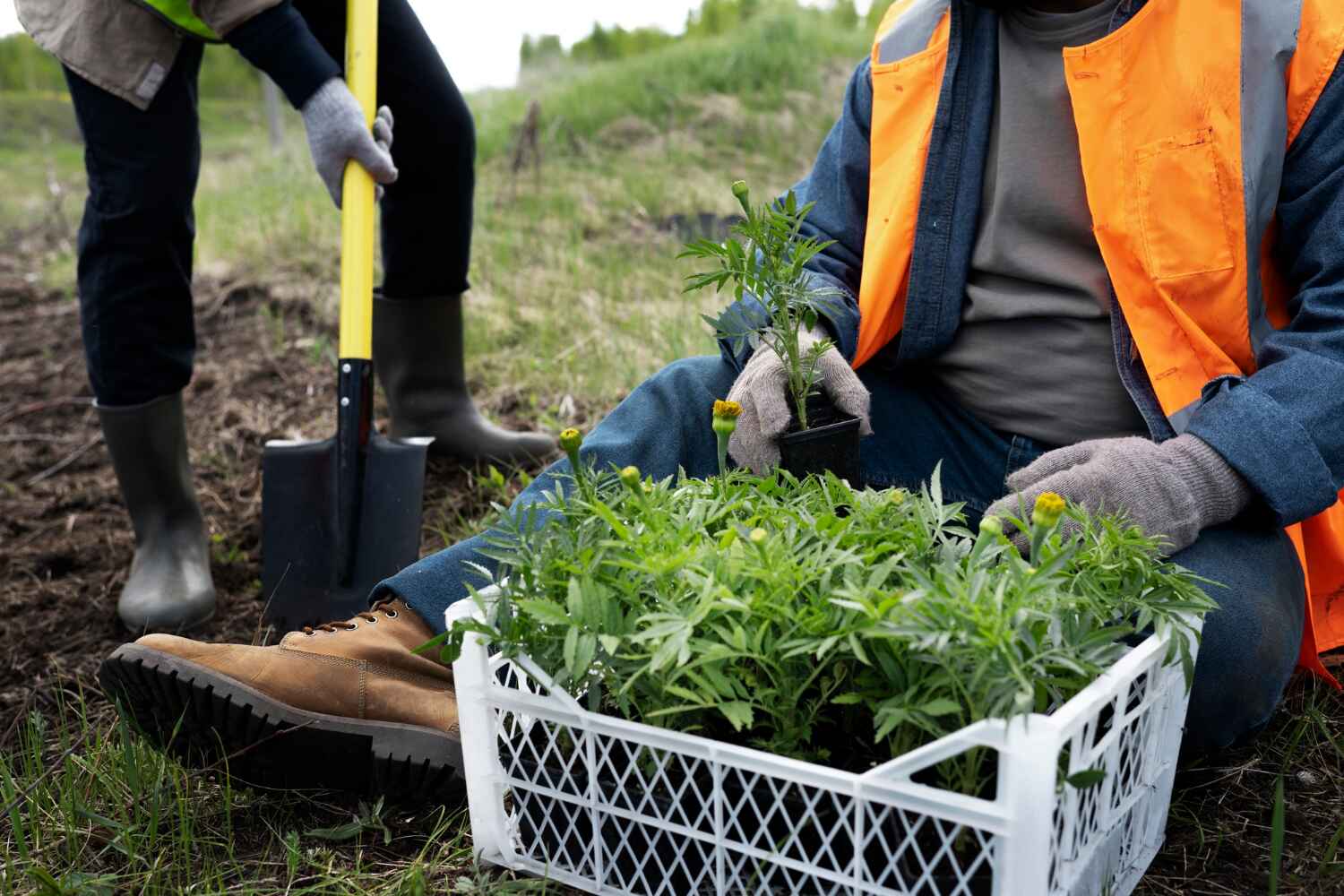 Best Emergency Tree Service  in Boston, GA